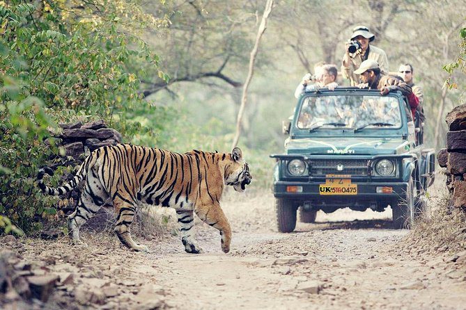 rajaji-national-park